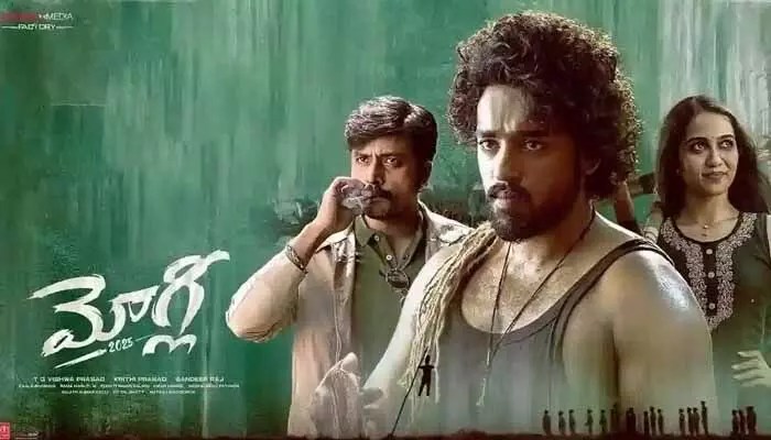 మోగ్లీ 2025.. సింగిల్ స్క్రీన్ టికెట్ ధరెంతో తెలుసా? మోగ్లీ 2025.. సింగిల్ స్క్రీన్ టికెట్ ధరెంతో తెలుసా?