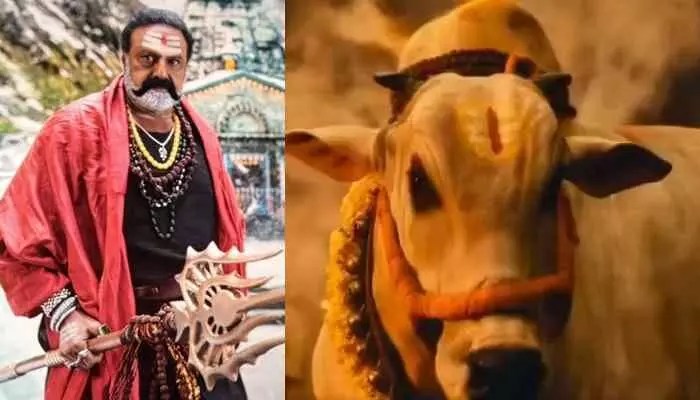 అఖండ 2 ట్విట్టర్ టాక్..బాలయ్య విశ్వరూపమే ! అఖండ 2 ట్విట్టర్ టాక్..బాలయ్య విశ్వరూపమే !