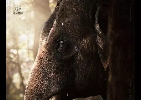 ‘కటాలన్’ రిలీజ్ డేట్ ఫిక్స్! మలయాళంలో ఆంటోనీ వర్గీస్ విధ్వంసం సృష్టిస్తాడా? ‘కటాలన్’ రిలీజ్ డేట్ ఫిక్స్! మలయాళంలో ఆంటోనీ వర్గీస్ విధ్వంసం సృష్టిస్తాడా?