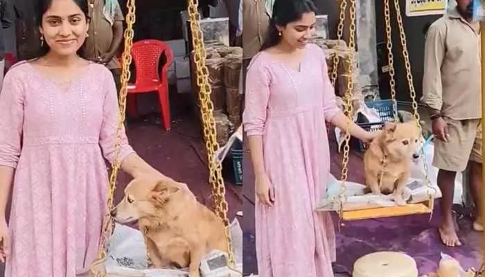 షాకింగ్: పెంపుడు కుక్కకు తూకం వేసిన నటి...దుమారం రేపుతున్న వీడియో! షాకింగ్: పెంపుడు కుక్కకు తూకం వేసిన నటి...దుమారం రేపుతున్న వీడియో!