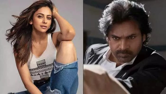 షాకింగ్: సల్మాన్ ఖాన్ కాదు.. పవన్ కళ్యాణ్ సినిమానే బెస్ట్ అంటున్న రకుల్ ప్రీత్ సింగ్! వైరల్ ట్వీట్! షాకింగ్: సల్మాన్ ఖాన్ కాదు.. పవన్ కళ్యాణ్ సినిమానే బెస్ట్ అంటున్న రకుల్ ప్రీత్ సింగ్! వైరల్ ట్వీట్!