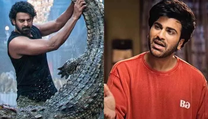This Week's Movie Releases: Prabhas' 'The Raja Saab' on OTT & Exciting Theatrical Debuts This Week's Movie Releases: Prabhas' 'The Raja Saab' on OTT & Exciting Theatrical Debuts