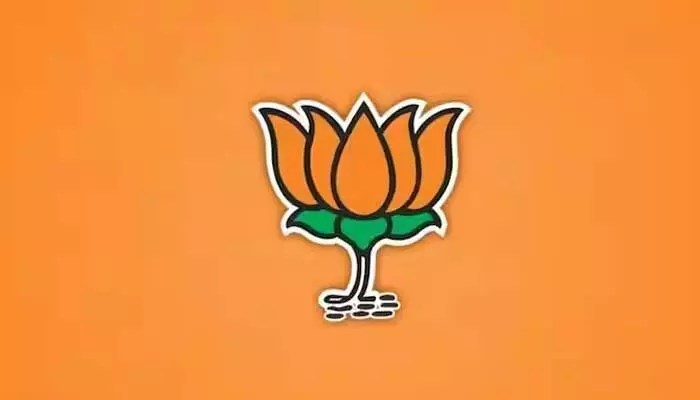 బీజేపీ రాజ్యసభ వ్యూహం: ఎన్నికల బరిలో ఎవరు? బీజేపీ రాజ్యసభ వ్యూహం: ఎన్నికల బరిలో ఎవరు?