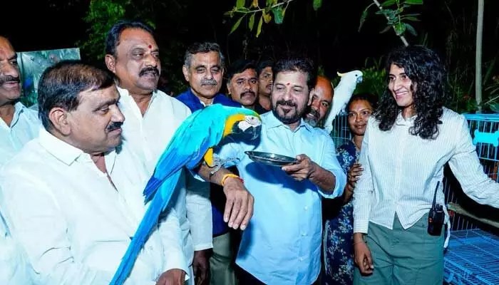 CM Revanth's Vision: Hyderabad as Global City & Film Hub – Major Tollywood Changes CM Revanth's Vision: Hyderabad as Global City & Film Hub – Major Tollywood Changes