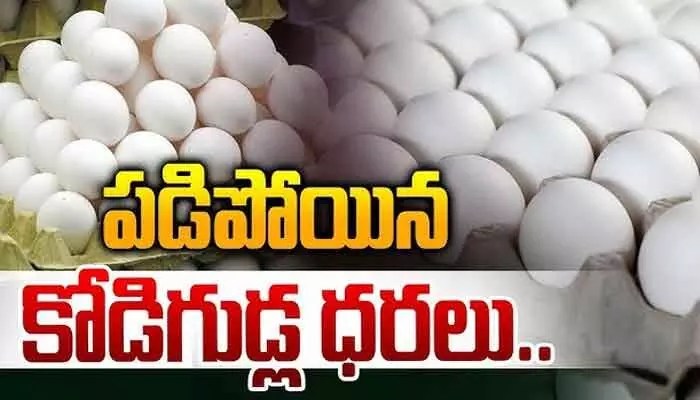 యుద్ధంతో కుదేలైన పౌల్ట్రీ పరిశ్రమ! తెలుగు రాష్ట్రాల్లో కోడిగుడ్ల ధరలు పతనం, రైతుల ఆర్తనాదాలు! యుద్ధంతో కుదేలైన పౌల్ట్రీ పరిశ్రమ! తెలుగు రాష్ట్రాల్లో కోడిగుడ్ల ధరలు పతనం, రైతుల ఆర్తనాదాలు!