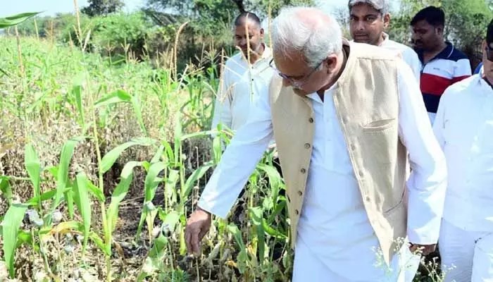 పొలంలో నల్లమందు కలకలం! బౌన్సర్ల కాపలా, ఎమ్మెల్యేల సస్పెన్షన్.. ఏం జరిగిందో తెలుసా? పొలంలో నల్లమందు కలకలం! బౌన్సర్ల కాపలా, ఎమ్మెల్యేల సస్పెన్షన్.. ఏం జరిగిందో తెలుసా?
