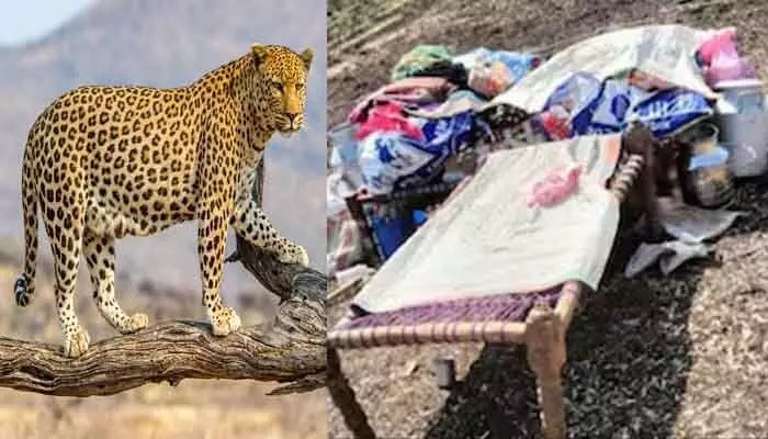 మహారాష్ట్రలో విషాదం: రెండు నెలల పసిగుడ్డుపై చిరుత దాడి.. ఊరంతా శోకం! మహారాష్ట్రలో విషాదం: రెండు నెలల పసిగుడ్డుపై చిరుత దాడి.. ఊరంతా శోకం!