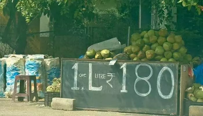 బెంగళూరులో కొబ్బరి నీళ్ల దందా! లీటర్ రూ.180.. ఇది మరీ దారుణం అంటూ నెటిజన్ల ఆగ్రహం! బెంగళూరులో కొబ్బరి నీళ్ల దందా! లీటర్ రూ.180.. ఇది మరీ దారుణం అంటూ నెటిజన్ల ఆగ్రహం!