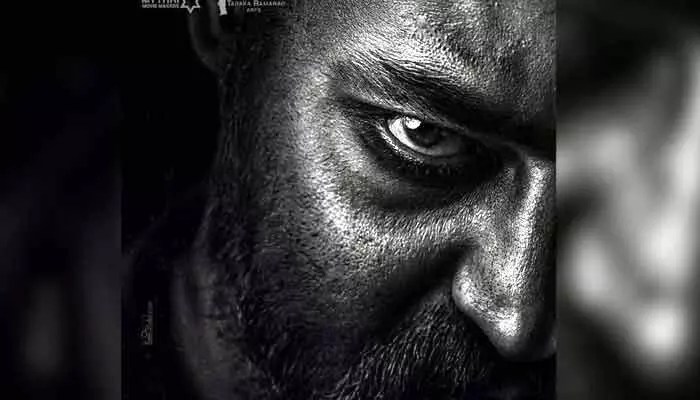 NTR ఫ్యాన్స్కు పూనకాలే! 'NTRNeel' నుండి ఊహించని మాస్ ట్రీట్! రికార్డులు షేక్ అవ్వడం ఖాయం! NTR ఫ్యాన్స్కు పూనకాలే! 'NTRNeel' నుండి ఊహించని మాస్ ట్రీట్! రికార్డులు షేక్ అవ్వడం ఖాయం!