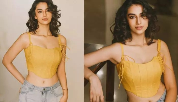 మీనాక్షి నడుమందాల మాయాజాలం: ఇంటర్నెట్ షేక్! మీనాక్షి నడుమందాల మాయాజాలం: ఇంటర్నెట్ షేక్!