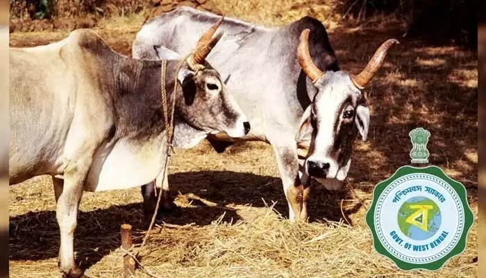 జంతు వధకు కఠిన చట్టం: బీజేపీ సర్కార్ సంచలన నిర్ణయం, ఉల్లంఘిస్తే జైలు ఖాయం! జంతు వధకు కఠిన చట్టం: బీజేపీ సర్కార్ సంచలన నిర్ణయం, ఉల్లంఘిస్తే జైలు ఖాయం!