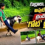 పెట్రోల్ ధరల షాక్కు బుడ్డోడి మాస్టర్ ప్లాన్: రూపాయి ఖర్చు లేకుండా ప్రయాణం ఎలాగో చూడండి! పెట్రోల్ ధరల షాక్కు బుడ్డోడి మాస్టర్ ప్లాన్: రూపాయి ఖర్చు లేకుండా ప్రయాణం ఎలాగో చూడండి!
