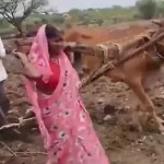 కాడెద్దుగా మారిన మహిళా రైతు.. గుండెల్ని పిండేసే హృదయవిదారక దృశ్యం! కాడెద్దుగా మారిన మహిళా రైతు.. గుండెల్ని పిండేసే హృదయవిదారక దృశ్యం!