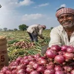 ఉల్లి రైతుల కష్టాలకు చెక్! కేంద్రం సంచలన నిర్ణయం, ధర 13% పెంపు. ఉల్లి రైతుల కష్టాలకు చెక్! కేంద్రం సంచలన నిర్ణయం, ధర 13% పెంపు.