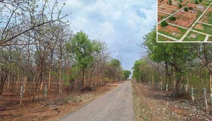 తెలంగాణలో భూముల దందా: శివారు వెంచర్లలో రేట్ల మాయాజాలం, సామాన్యుడికి అందని ద్రాక్ష! తెలంగాణలో భూముల దందా: శివారు వెంచర్లలో రేట్ల మాయాజాలం, సామాన్యుడికి అందని ద్రాక్ష!
