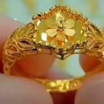 పుట్టబోయే బిడ్డకు బంగారు ఉంగరం: సీఎం విజయ్ షాకింగ్ ప్రకటన పుట్టబోయే బిడ్డకు బంగారు ఉంగరం: సీఎం విజయ్ షాకింగ్ ప్రకటన
