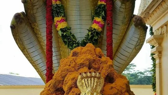 రేపు నాగుల చవితి వేళా నాగులను పూజిస్తే దోషాలు తొలగిపోతాయి.. నాగుల చవితి పూజా విధానం, పుట్ట దగ్గర ఎలా పూజ చెయ్యాలి? రేపు నాగుల చవితి వేళా నాగులను పూజిస్తే దోషాలు తొలగిపోతాయి.. నాగుల చవితి పూజా విధానం, పుట్ట దగ్గర ఎలా పూజ చెయ్యాలి?