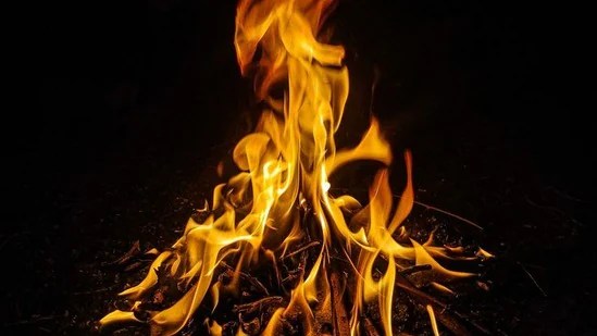 Bhutha Shuddi Vivaham: భూతశుద్ధి వివాహం అంటే ఏంటి, ఈ ప్రక్రియలో ఎవరు పెళ్ళి చేసుకోవచ్చు? ముహూర్తం చూసుకోవాలా? Bhutha Shuddi Vivaham: భూతశుద్ధి వివాహం అంటే ఏంటి, ఈ ప్రక్రియలో ఎవరు పెళ్ళి చేసుకోవచ్చు? ముహూర్తం చూసుకోవాలా?