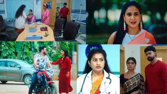 నిన్ను కోరి డిసెంబర్ 6 ఎపిసోడ్: రాజ్ ఫ్రాడ్ అని తెలుసుకున్న శాలిని- డాక్టర్లా మారిన రఘురాం- నోరు జారిన శ్రుతి లవర్ నిన్ను కోరి డిసెంబర్ 6 ఎపిసోడ్: రాజ్ ఫ్రాడ్ అని తెలుసుకున్న శాలిని- డాక్టర్లా మారిన రఘురాం- నోరు జారిన శ్రుతి లవర్