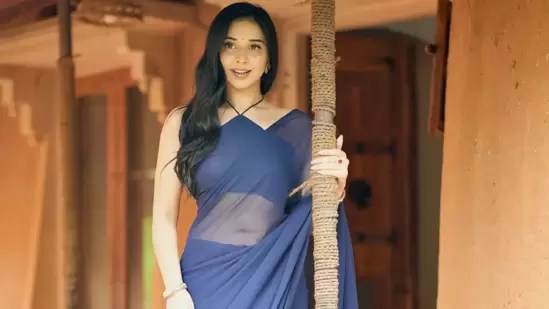 150 బాడీగార్డ్స్ రహస్యం: బిగ్ బాస్ తాన్య మిట్టల్ అసలు కథ బయటపెట్టింది! 150 బాడీగార్డ్స్ రహస్యం: బిగ్ బాస్ తాన్య మిట్టల్ అసలు కథ బయటపెట్టింది!