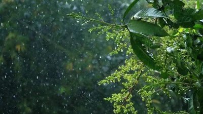 భారీ వర్ష సూచన: తెలంగాణలో మరో ఆరు రోజులు వానలు! IMD హెచ్చరిక! భారీ వర్ష సూచన: తెలంగాణలో మరో ఆరు రోజులు వానలు! IMD హెచ్చరిక!