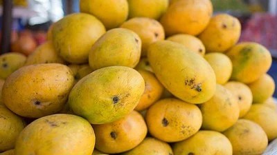 మామిడి పండ్ల పేరుతో విషం! కల్తీ పండ్లపై సజ్జనార్ హెచ్చరిక! మామిడి పండ్ల పేరుతో విషం! కల్తీ పండ్లపై సజ్జనార్ హెచ్చరిక!