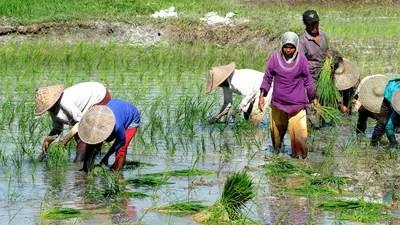 భారీ వర్ష సూచనల్లో నిజమెంత? స్కైమెట్ వర్సెస్ ఐఎండీ అంచనాలతో తలెత్తుతున్న అనుమానాలు! భారీ వర్ష సూచనల్లో నిజమెంత? స్కైమెట్ వర్సెస్ ఐఎండీ అంచనాలతో తలెత్తుతున్న అనుమానాలు!