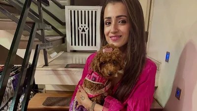 Trisha Krishnan Unfazed After Bomb Scare at Chennai Home: 'Mommy's Untouchable' Trisha Krishnan Unfazed After Bomb Scare at Chennai Home: 'Mommy's Untouchable'