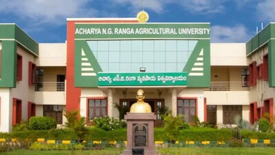 ఉద్యోగం కావాలా? బాపట్ల కాలేజీలో రాత పరీక్ష లేకుండానే జాబ్! ఉద్యోగం కావాలా? బాపట్ల కాలేజీలో రాత పరీక్ష లేకుండానే జాబ్!