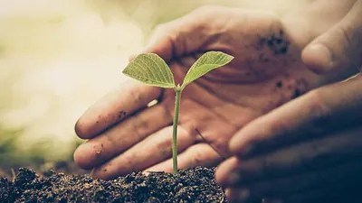 నౌతాపం: ఈ తొమ్మిది రోజులలో మొక్కలు నాటడం వల్ల కలిగే శుభ ఫలితాలు నౌతాపం: ఈ తొమ్మిది రోజులలో మొక్కలు నాటడం వల్ల కలిగే శుభ ఫలితాలు