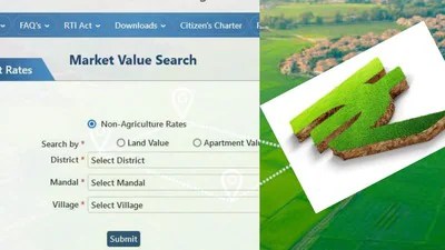 భూముల విలువలు పెరిగాయా? మీ ప్రశ్నలకు ప్రభుత్వం సమాధానం! టోల్ ఫ్రీ నంబర్లతో క్లారిటీ! భూముల విలువలు పెరిగాయా? మీ ప్రశ్నలకు ప్రభుత్వం సమాధానం! టోల్ ఫ్రీ నంబర్లతో క్లారిటీ!