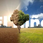 ఎల్ నినో: 2027 వరకు కరువు ముప్పు! దేశానికి పెను ప్రమాదం? ఎల్ నినో: 2027 వరకు కరువు ముప్పు! దేశానికి పెను ప్రమాదం?