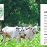 రైతులకు డబుల్ ధమాకా! రైతు భరోసా కొత్త దరఖాస్తులు షురూ.. వెంటనే అప్లై చేయండి! రైతులకు డబుల్ ధమాకా! రైతు భరోసా కొత్త దరఖాస్తులు షురూ.. వెంటనే అప్లై చేయండి!