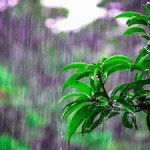 ఆంధ్రప్రదేశ్, తెలంగాణకు భారీ వర్షాల ముప్పు! IMD సంచలన హెచ్చరిక: అప్రమత్తంగా ఉండండి! ఆంధ్రప్రదేశ్, తెలంగాణకు భారీ వర్షాల ముప్పు! IMD సంచలన హెచ్చరిక: అప్రమత్తంగా ఉండండి!