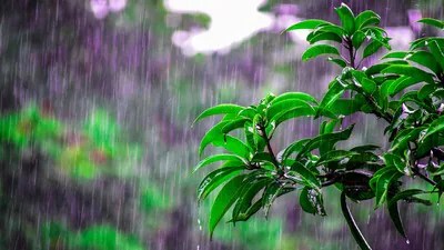 ఆంధ్రప్రదేశ్, తెలంగాణకు భారీ వర్షాల ముప్పు! IMD సంచలన హెచ్చరిక: అప్రమత్తంగా ఉండండి! ఆంధ్రప్రదేశ్, తెలంగాణకు భారీ వర్షాల ముప్పు! IMD సంచలన హెచ్చరిక: అప్రమత్తంగా ఉండండి!