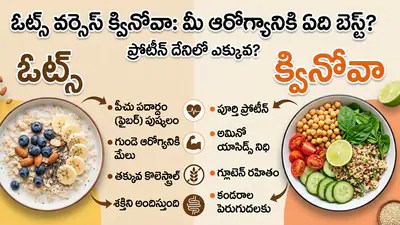 ప్రోటీన్ యుద్ధం: ఓట్స్ vs క్వినోవా - మీ ఫిట్నెస్కి ఏది బెస్ట్? ప్రోటీన్ యుద్ధం: ఓట్స్ vs క్వినోవా - మీ ఫిట్నెస్కి ఏది బెస్ట్?