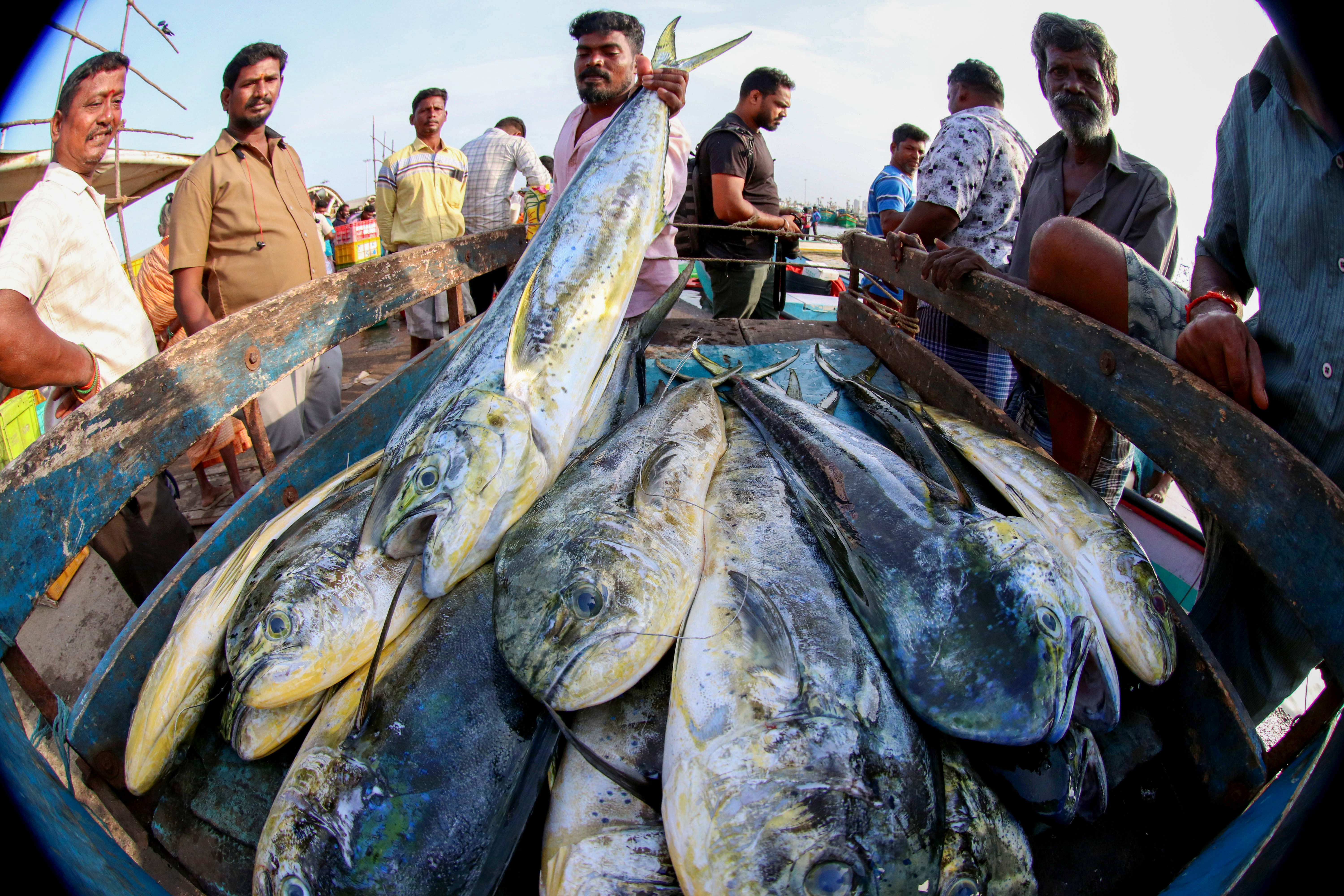 India EU aquaculture exports seafood trade India EU aquaculture exports seafood trade