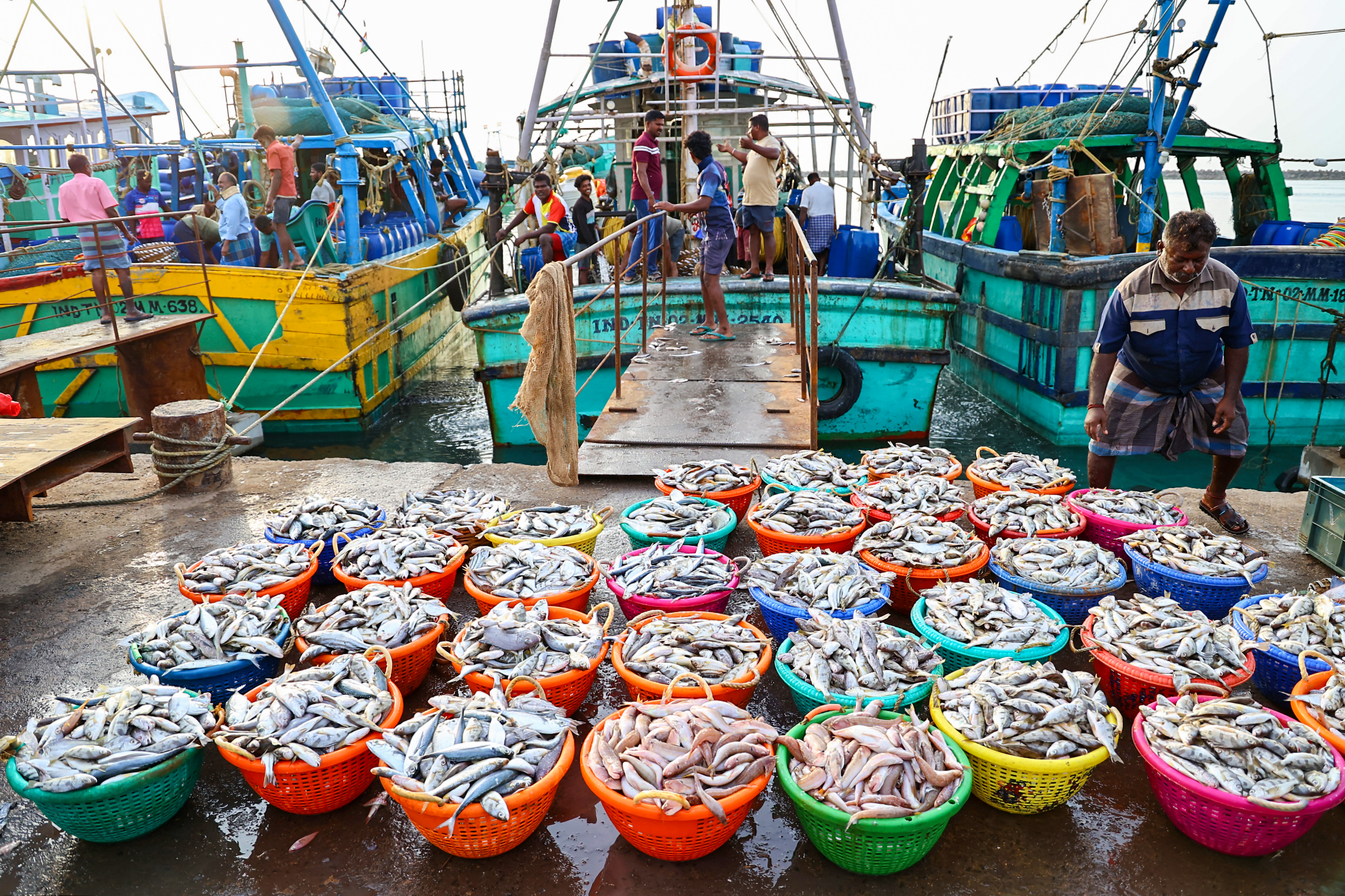 India seafood exports marine products processing and packaging India seafood exports marine products processing and packaging