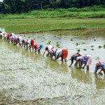 El Nino preparedness kharif sowing monsoon improvement El Nino preparedness kharif sowing monsoon improvement