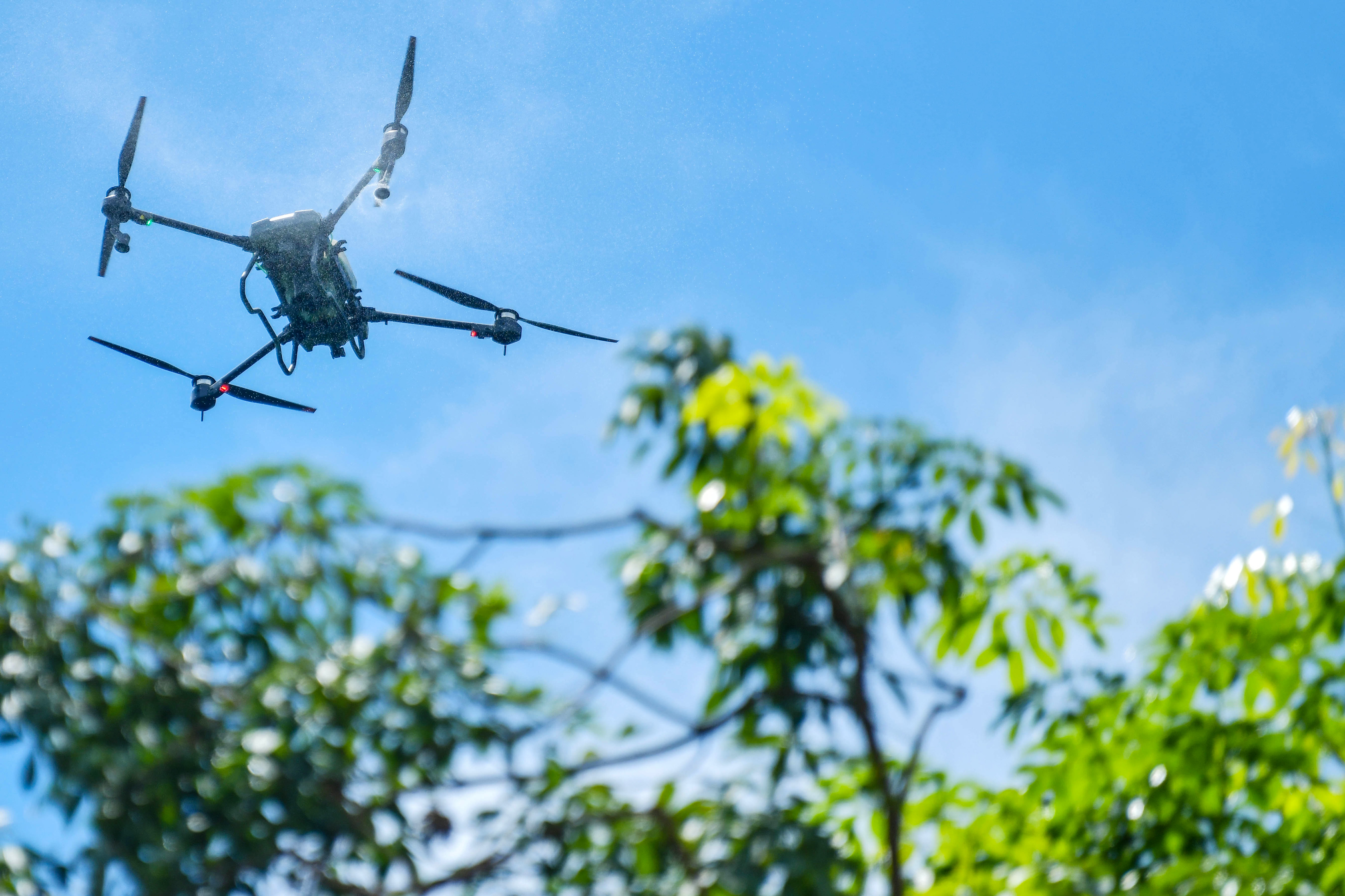 Kenyan farmer using drone technology in field with Indian cooperation Kenyan farmer using drone technology in field with Indian cooperation