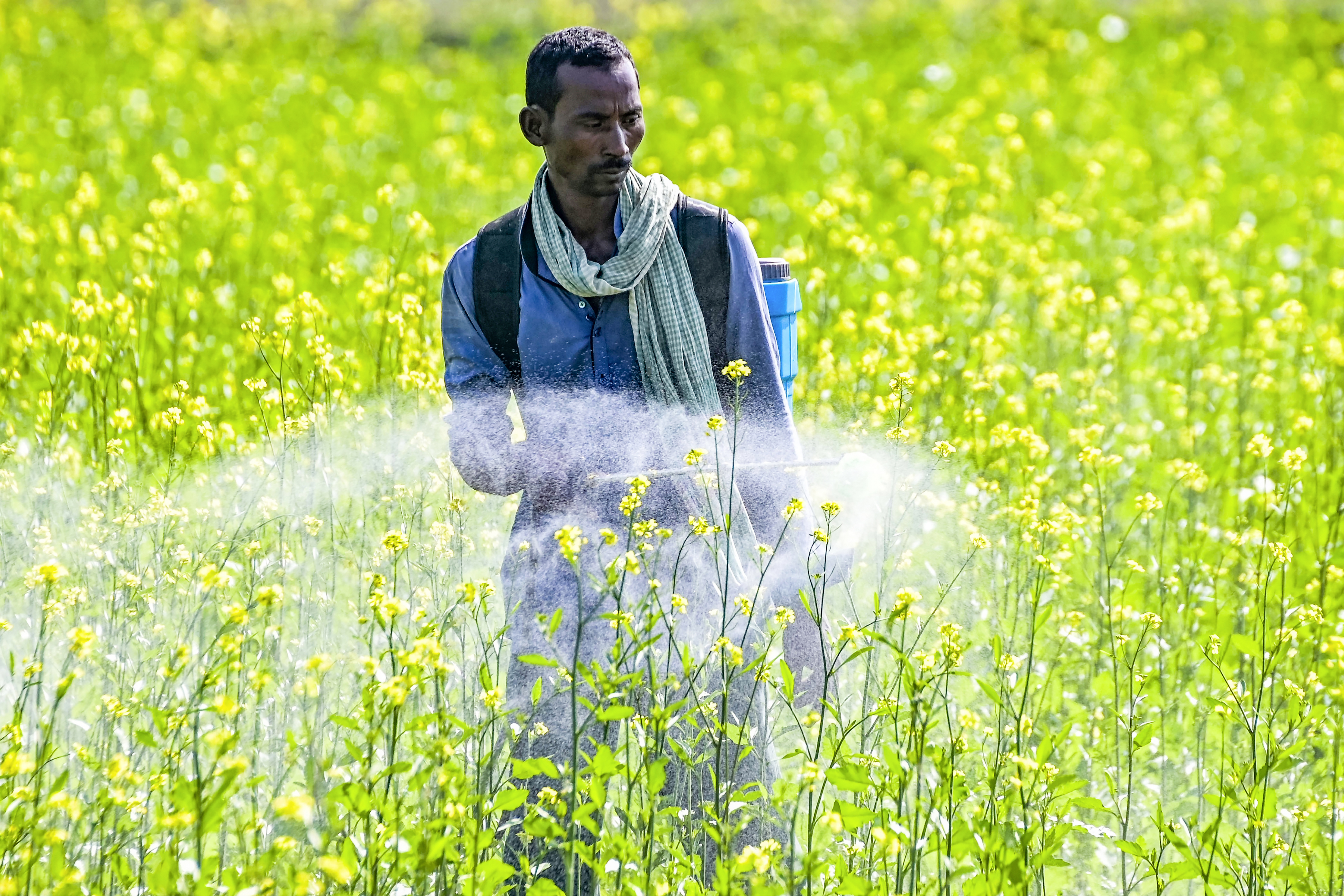 Farmers irrigating crops in India with reservoirs in background Farmers irrigating crops in India with reservoirs in background