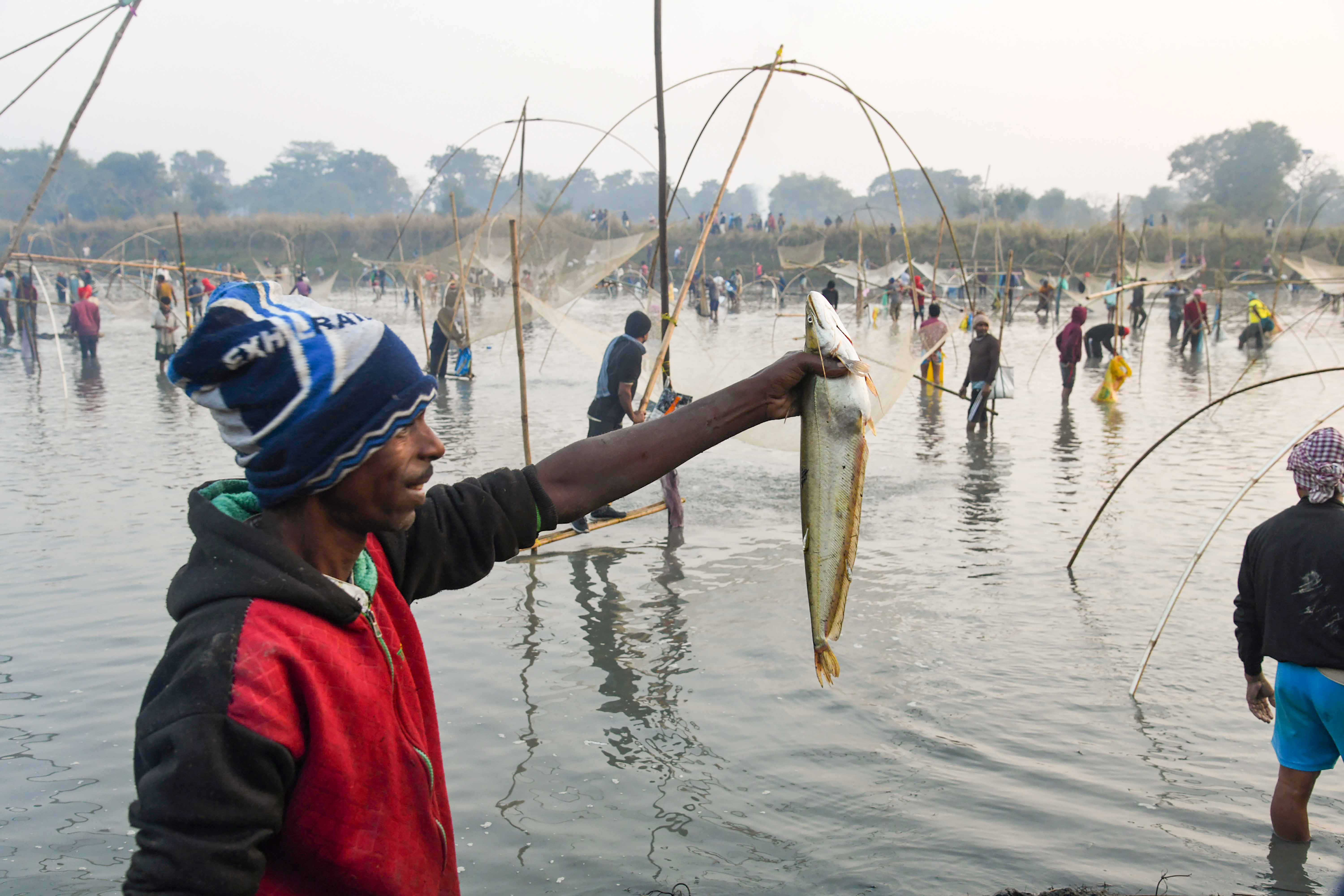 Cold-water fisheries trout production in India Cold-water fisheries trout production in India
