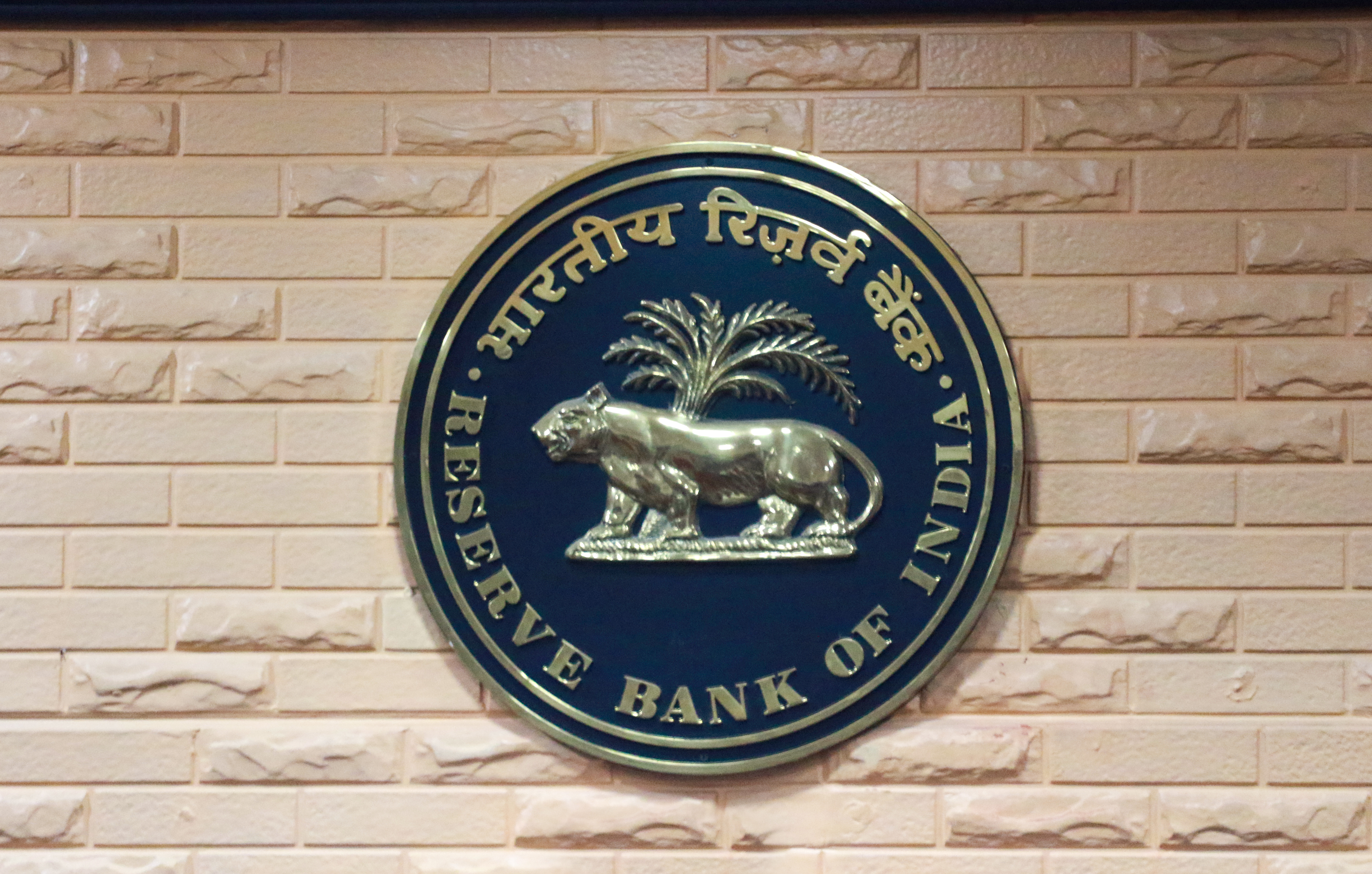 RBI rate pause keeps long-term growth prospects intact economists analysis RBI rate pause keeps long-term growth prospects intact economists analysis