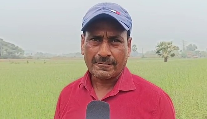 Jharkhand farmer in field benefiting from PM-KISAN scheme Jharkhand farmer in field benefiting from PM-KISAN scheme