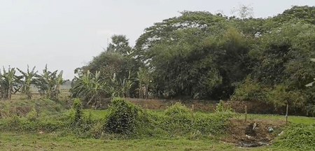 Kushunupur smart village landscape in Odisha Kushunupur smart village landscape in Odisha