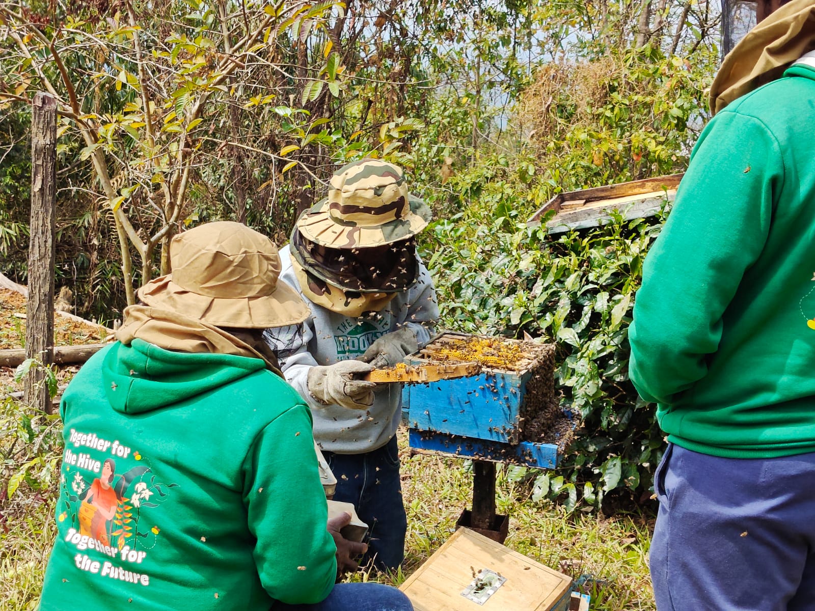 Farmers in Manipur receiving honey production beekeeping training Farmers in Manipur receiving honey production beekeeping training