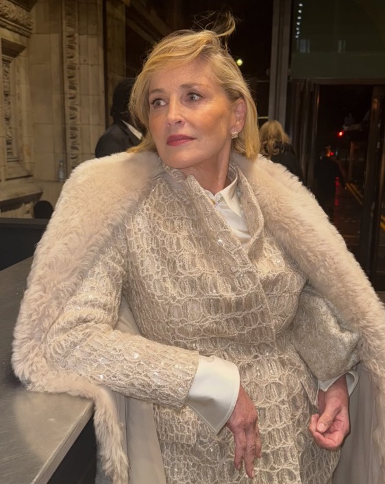 Sharon Stone 90s throwback birthday video with Robert De Niro Sharon Stone 90s throwback birthday video with Robert De Niro