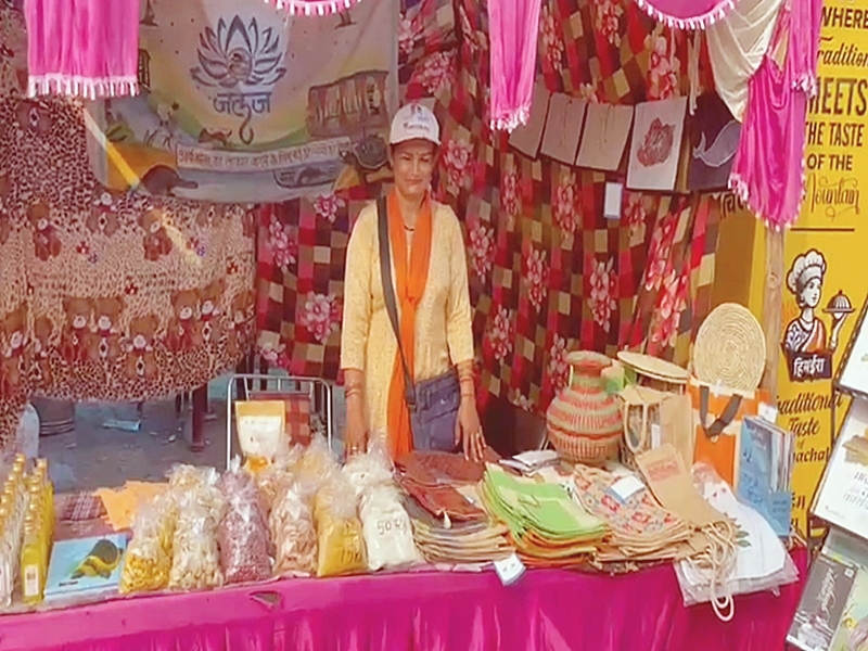 Self-Help Group women in Sirmaur displaying their organic products and handcrafted items Self-Help Group women in Sirmaur displaying their organic products and handcrafted items