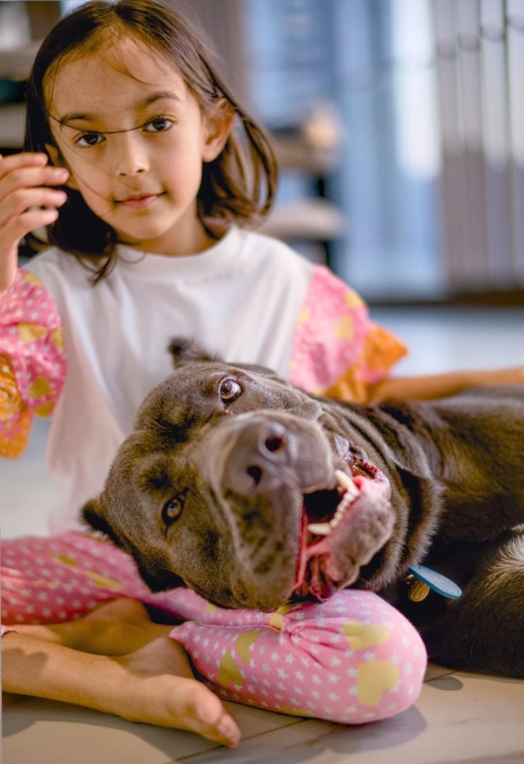 Arpita Khan daughter Ayat playing with family pet dog Arpita Khan daughter Ayat playing with family pet dog