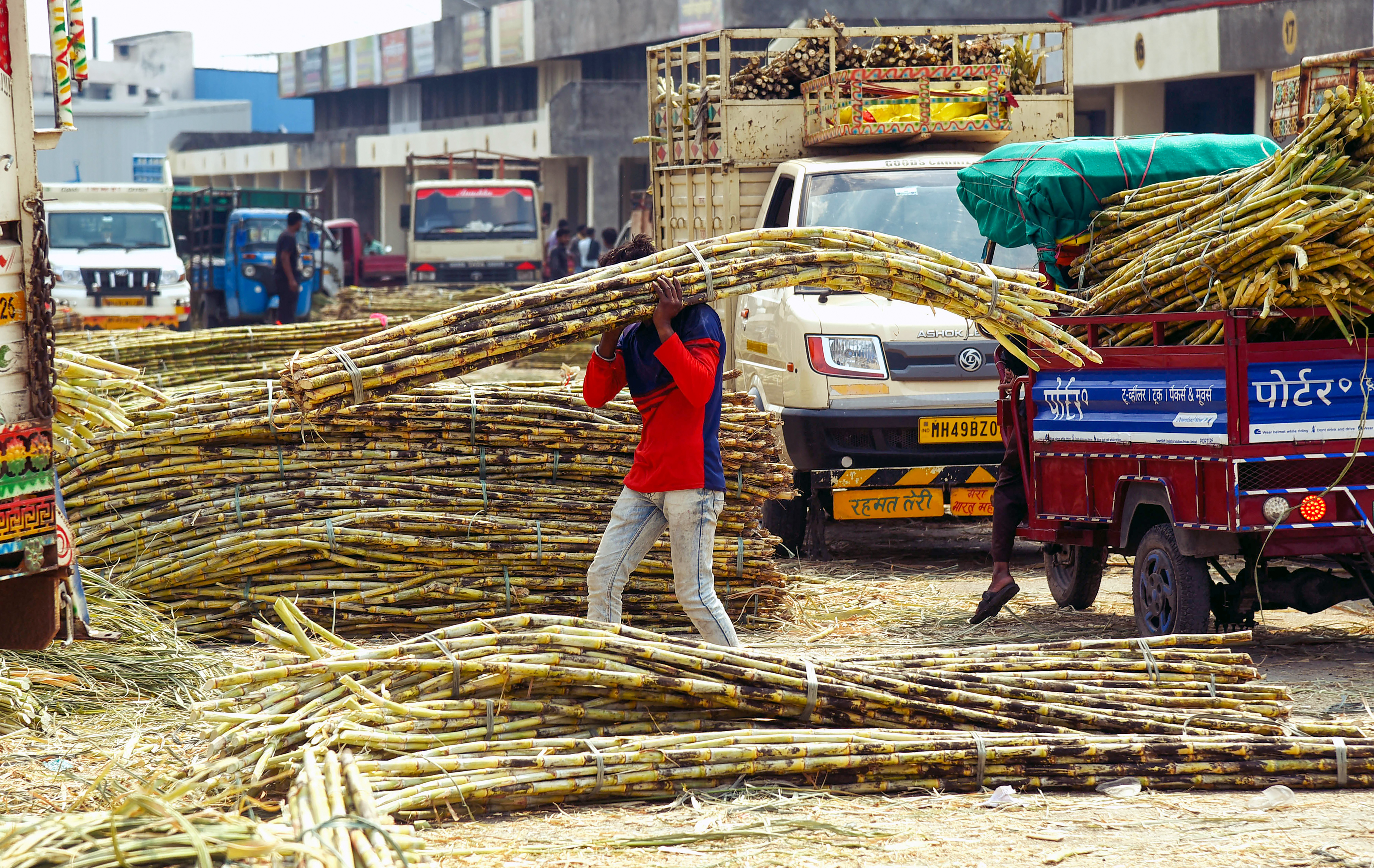 Sugarcane Control Order withdrawal consultation with farmers Sugarcane Control Order withdrawal consultation with farmers